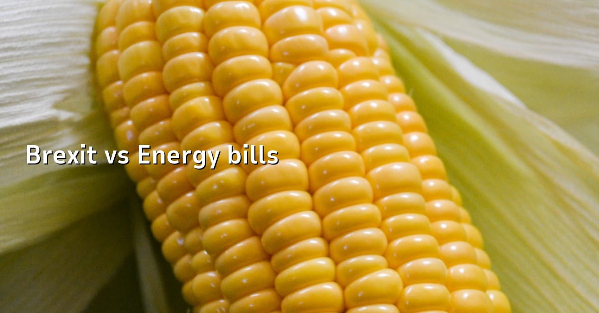 Brexit vs Energy bills
