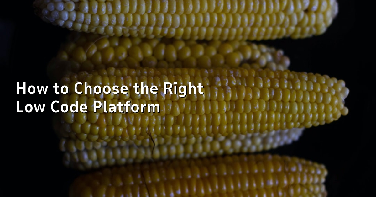 How to Choose the Right Low Code Platform