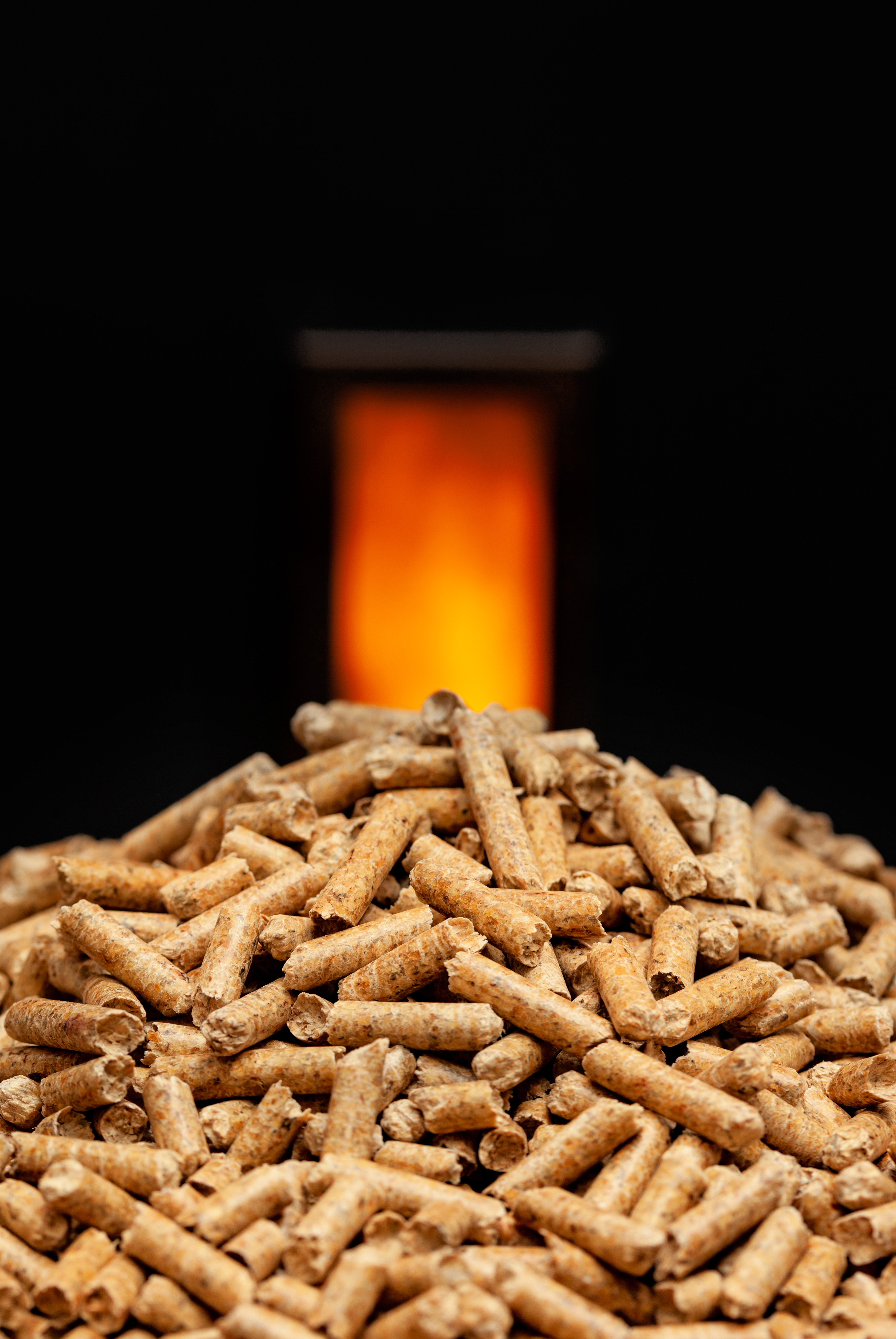 Wood pellets and combustion chamber.