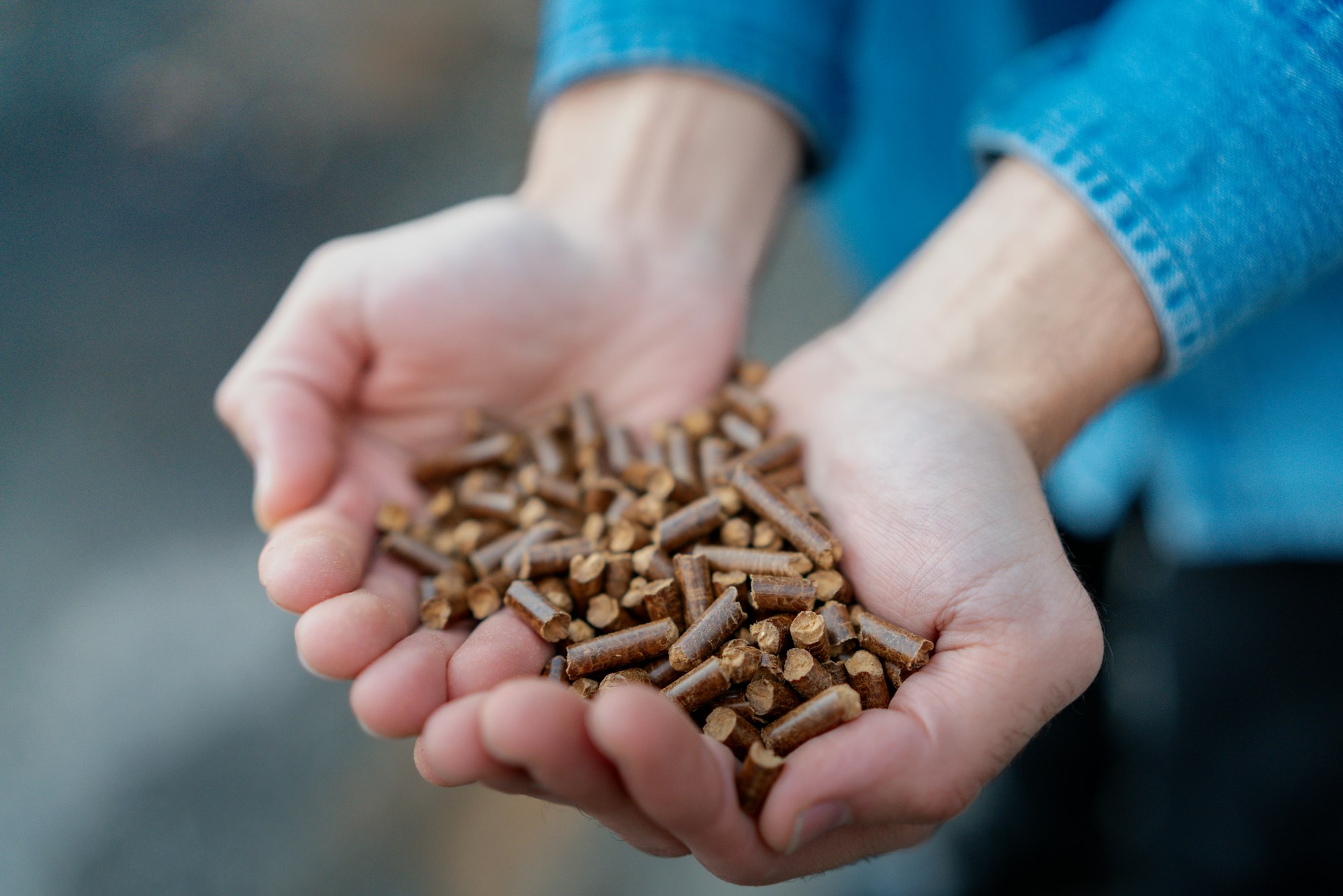 Handful of wood pellets in palms. Man holding pellet fuels in hands, palms. Reusing wooden